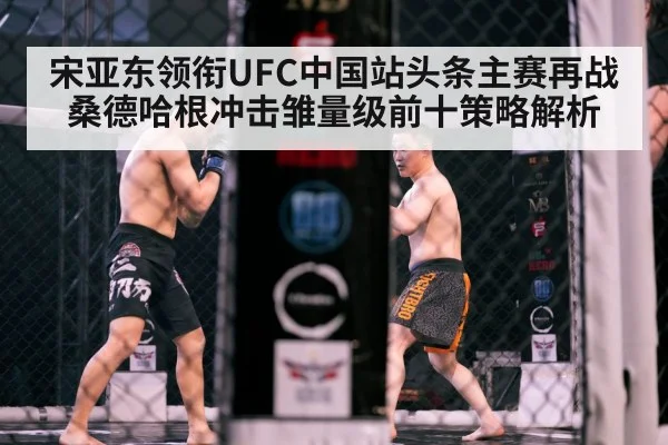 MMA cage fight